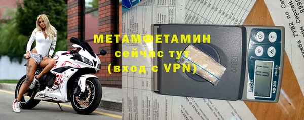 прущие грибы Апатиты