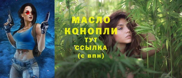 соль ск Аша