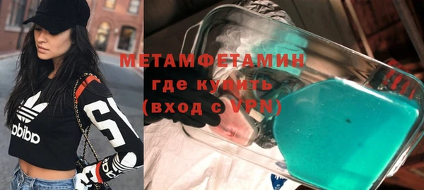 прущие грибы Апатиты