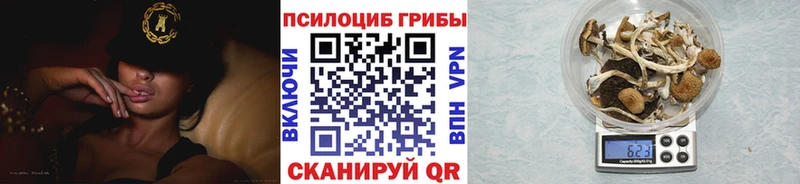 Галлюциногенные грибы Magic Shrooms  Гвардейск 